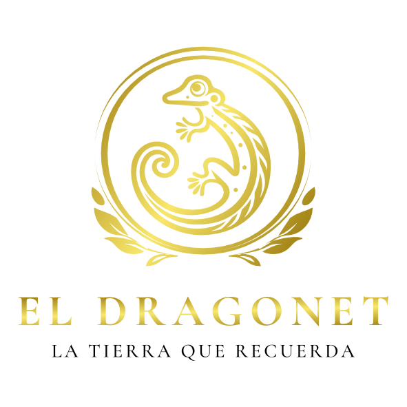 El Dragonet